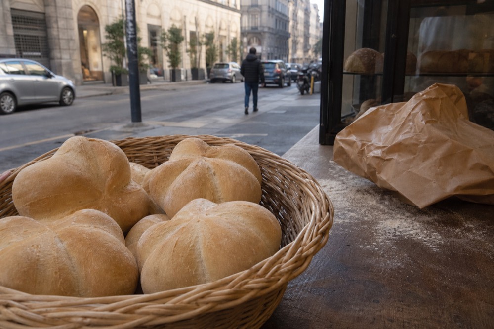 Fresh michetta bread rolls arranged in a bakery basket